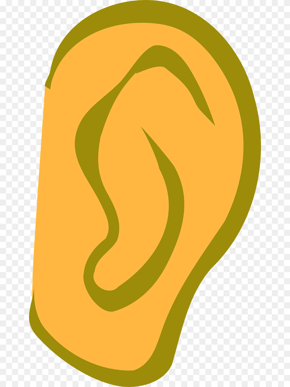 Transparent Background Ear Clipart, Body Part Free Png Download