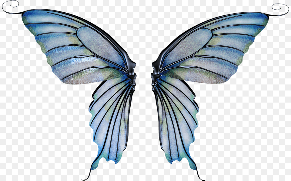 Transparent Background Fairy Wings, Animal, Butterfly, Insect, Invertebrate Free Png Download