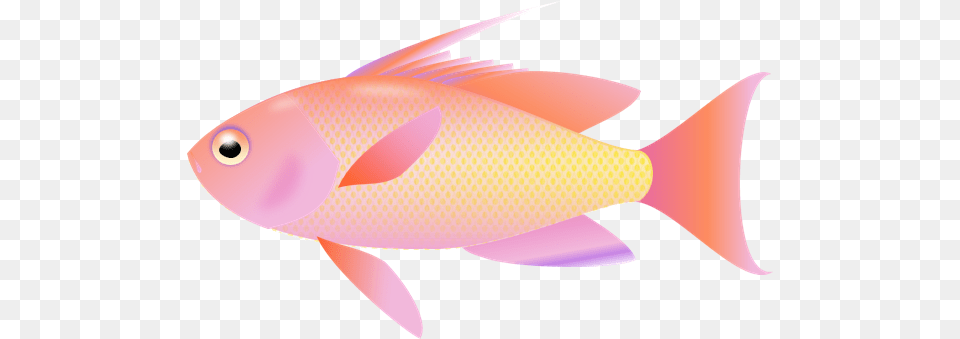 Transparent Background Fish Image Clipart Collection, Animal, Sea Life, Shark Free Png