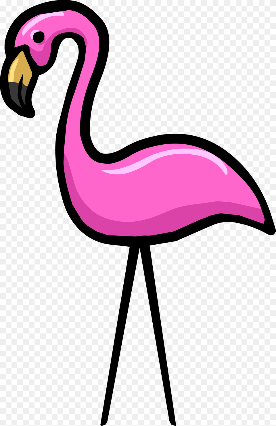 Transparent Background Flamingo, Animal, Bird Png Image