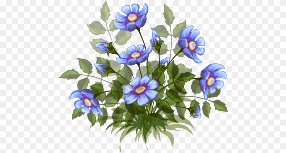 Background Flower Bushes Clip Art, Acanthaceae, Anemone, Geranium, Plant Free Transparent Png