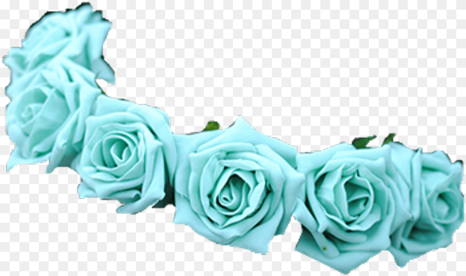 Background Flower Crown Green Flower Crown, Rose, Plant, Turquoise, Woman Free Transparent Png