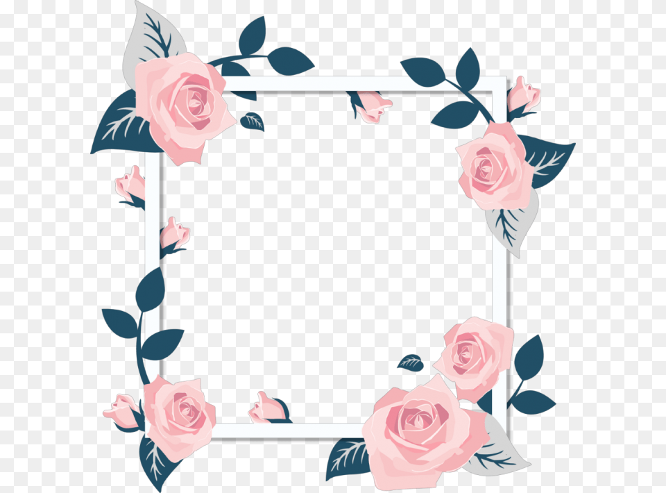 Transparent Background Flower Frame, Plant, Rose, Art Png