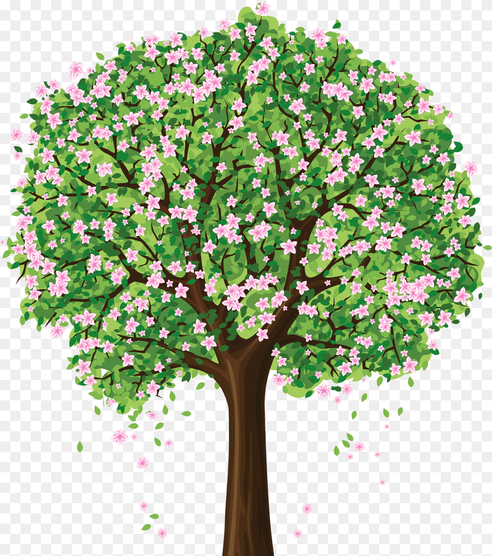 Transparent Background Flower Tree, Oak, Plant, Sycamore, Vegetation Png