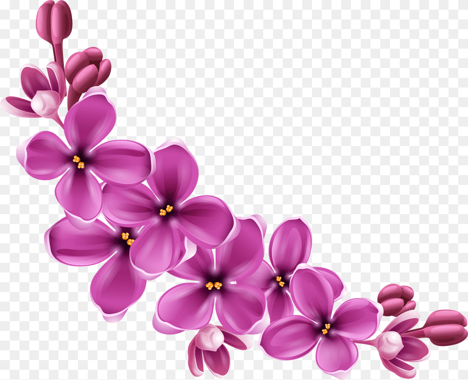 Background Flowers Free Transparent Png