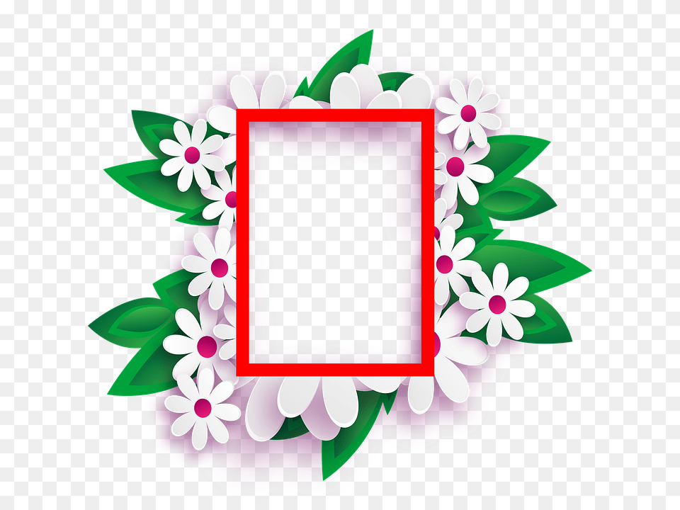 Transparent Background Flowers March Happy Feast Day Background, Flower, Plant, Dahlia, Art Free Png