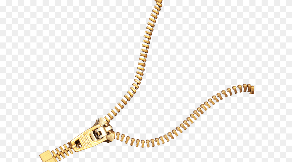 Transparent Background Golden Zipper, Accessories, Jewelry, Necklace Free Png Download