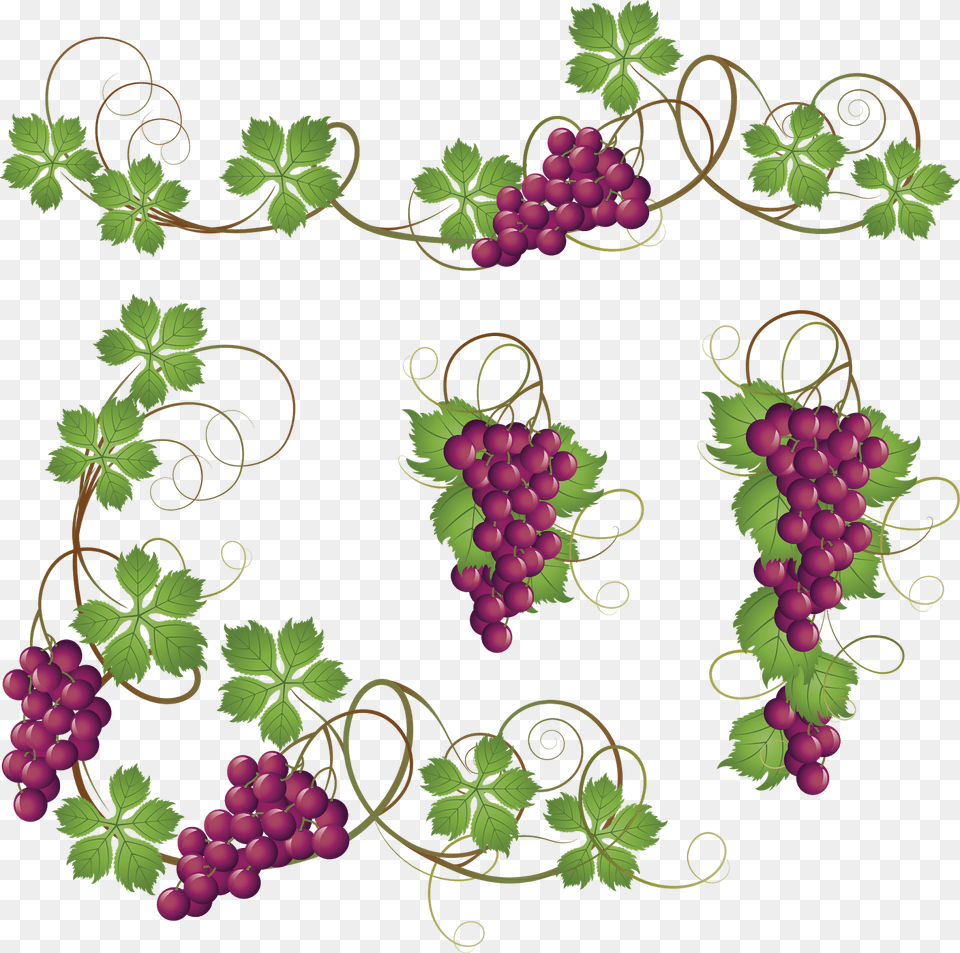 Background Grape Vine Clipart, Food, Fruit, Grapes, Plant Free Transparent Png