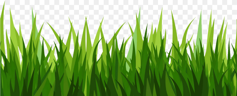 Transparent Background Grass Clipart, Green, Lawn, Plant, Vegetation Png