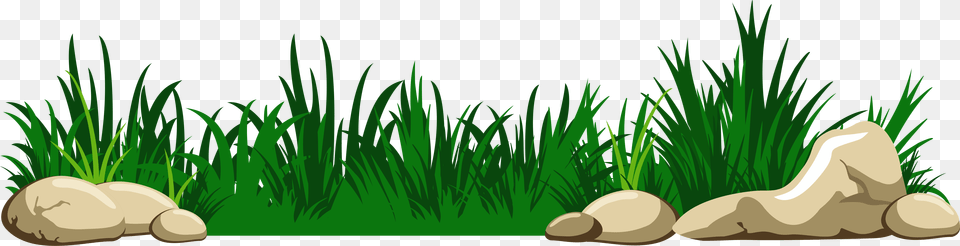 Transparent Background Grass Clipart, Green, Vegetation, Plant, Aquatic Png