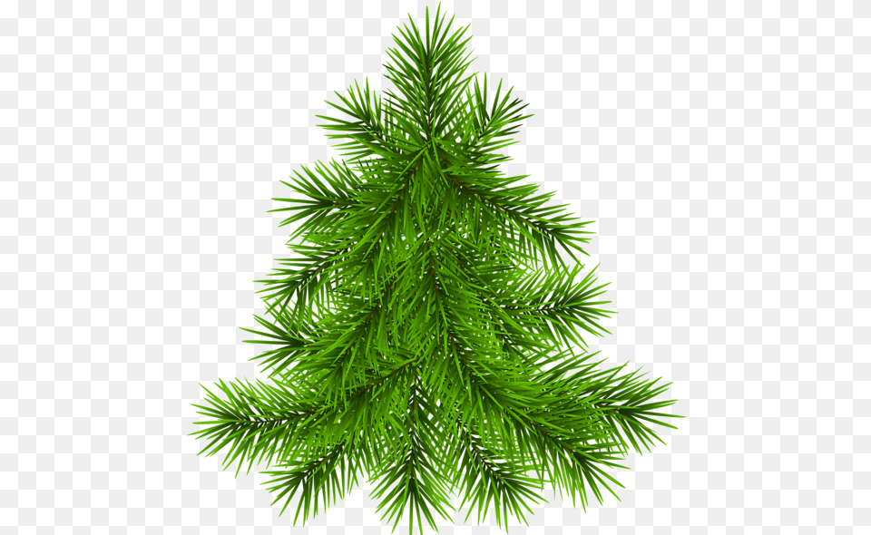 Transparent Background Holiday Tree Clipart, Conifer, Fir, Green, Pine Free Png Download