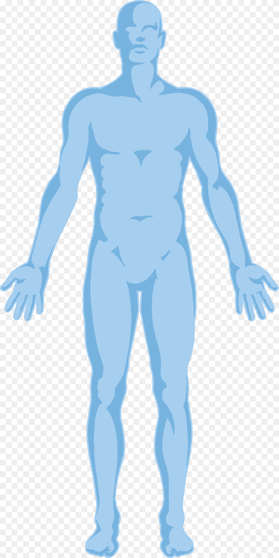 Transparent Background Human Body Outline, Adult, Male, Man, Person Png Image