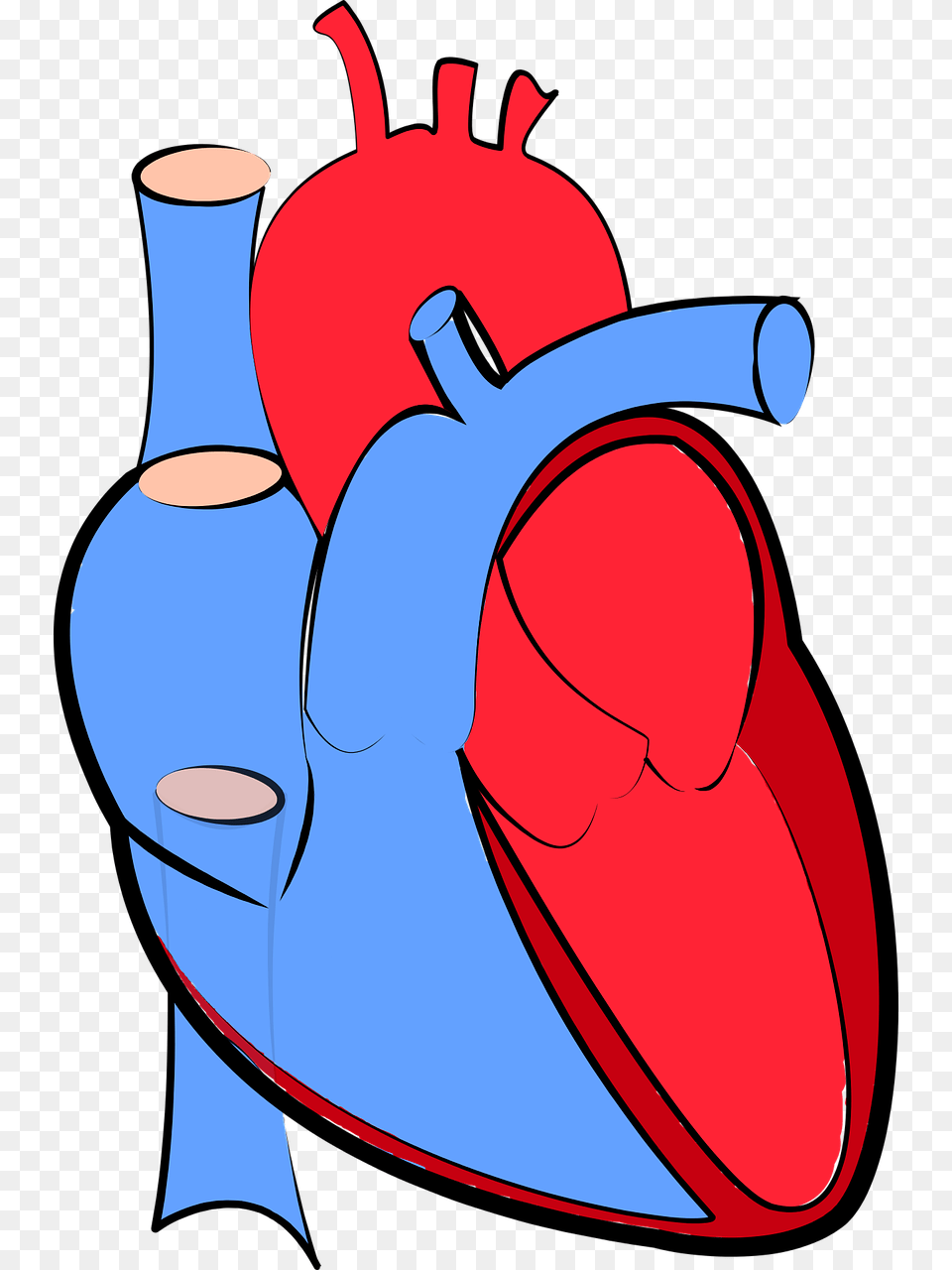 Background Human Heart, Water Free Transparent Png