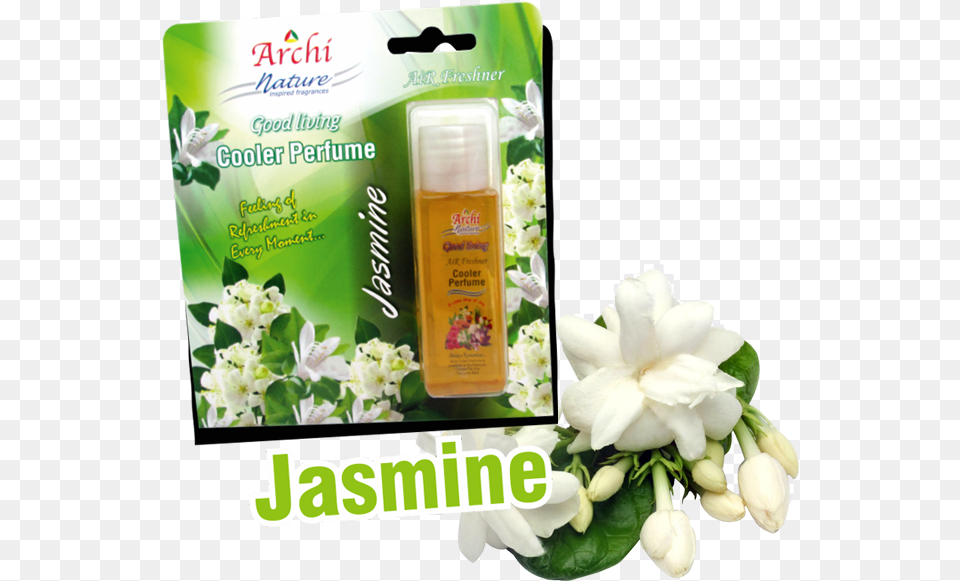 Transparent Background Jasmine Flower, Herbal, Herbs, Plant, Bottle Png Image