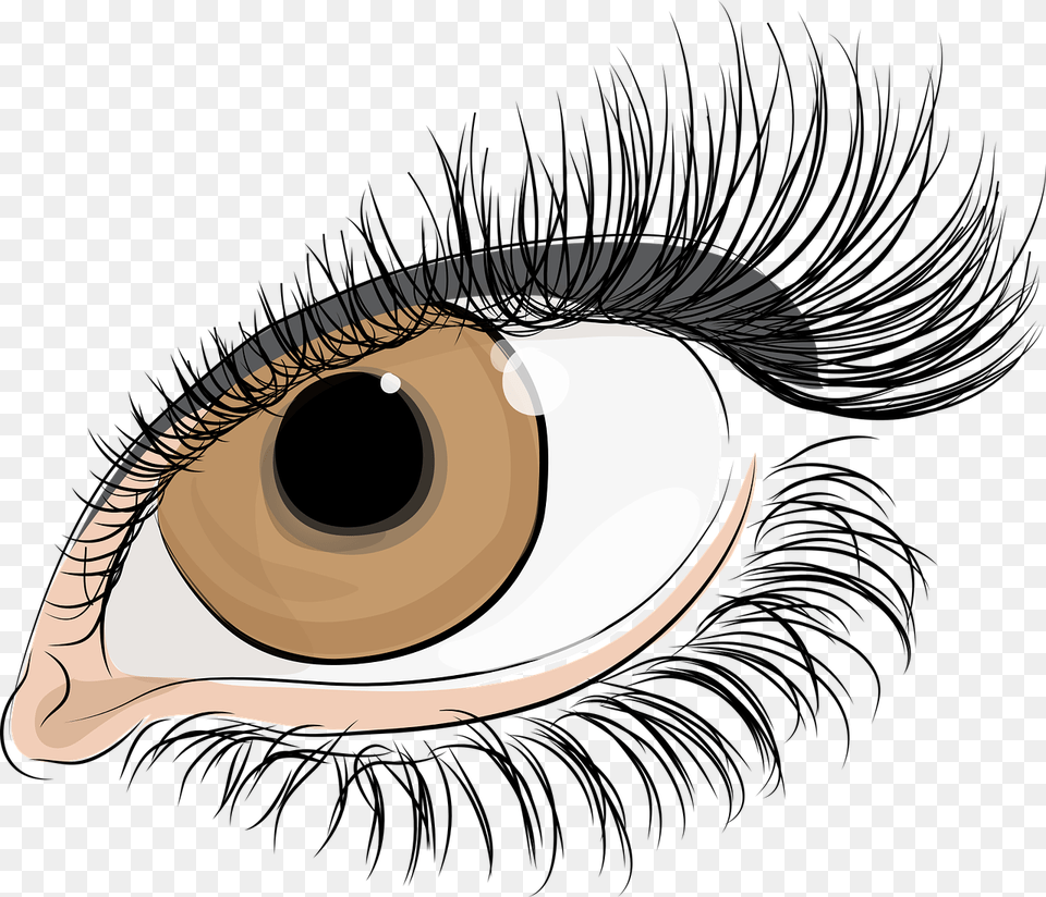 Background Lashes Clipart, Art Free Transparent Png