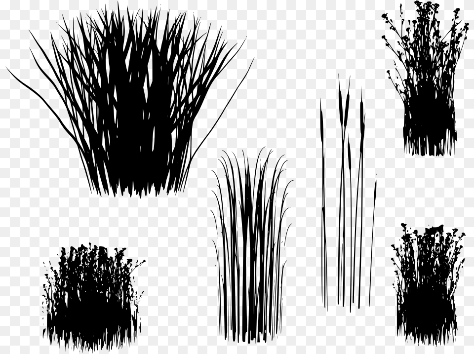 Transparent Background Long Grass, Gray Free Png