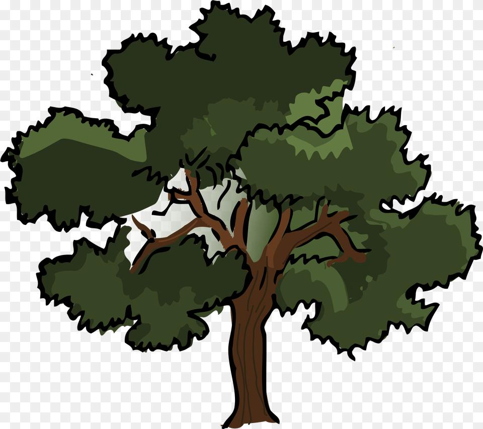 Transparent Background Oak Tree Clipart Oak Tree Cartoon, Plant, Sycamore, Vegetation, Person Free Png Download