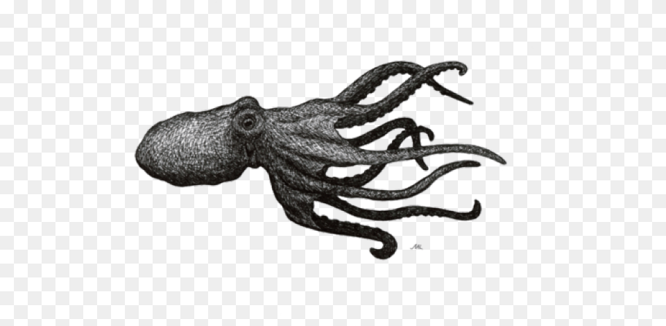 Transparent Background Octopus Octopus, Animal, Sea Life, Invertebrate, Lizard Free Png