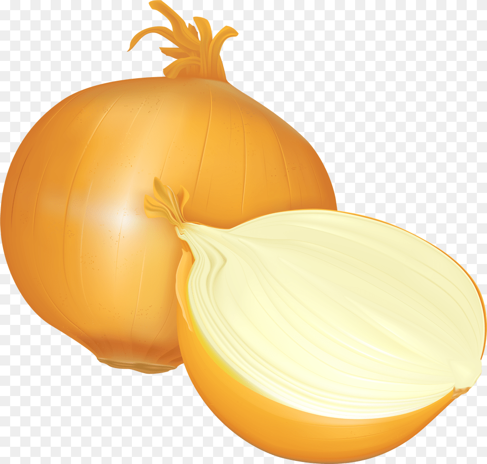 Transparent Background Onion Clipart, Food, Produce, Plant, Vegetable Png Image