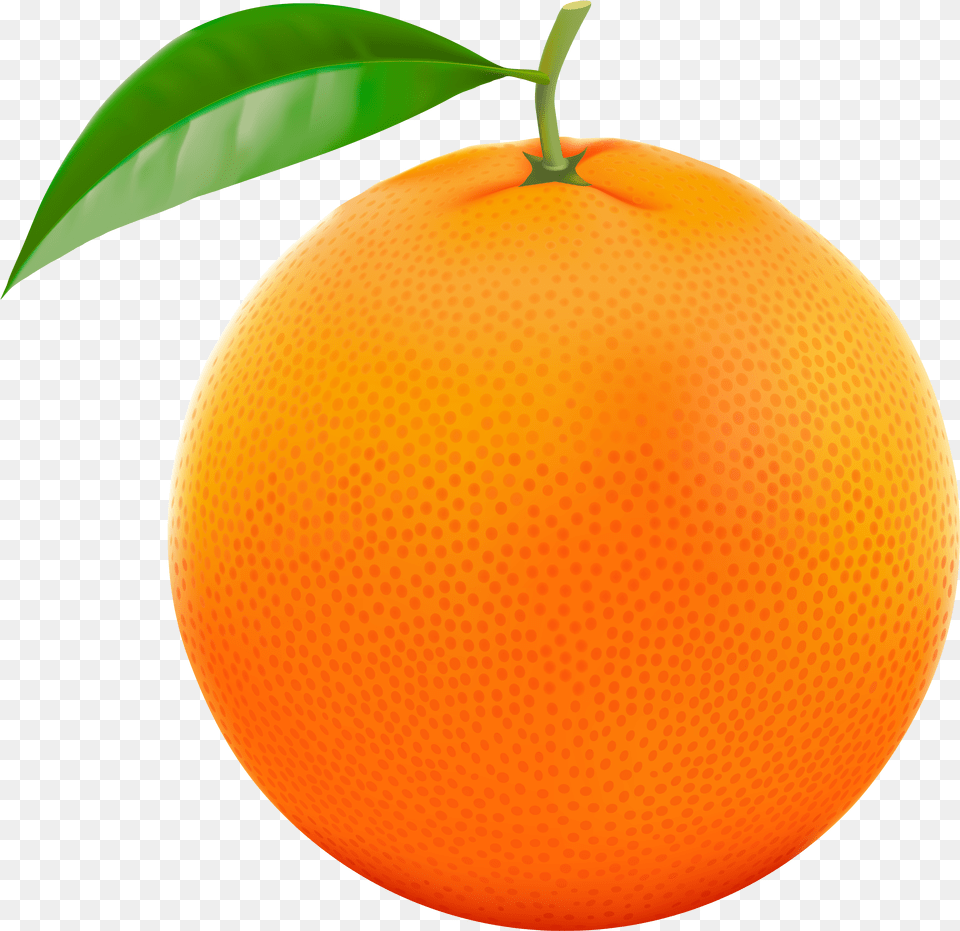 Transparent Background Orange Clipart, Citrus Fruit, Food, Fruit, Grapefruit Png