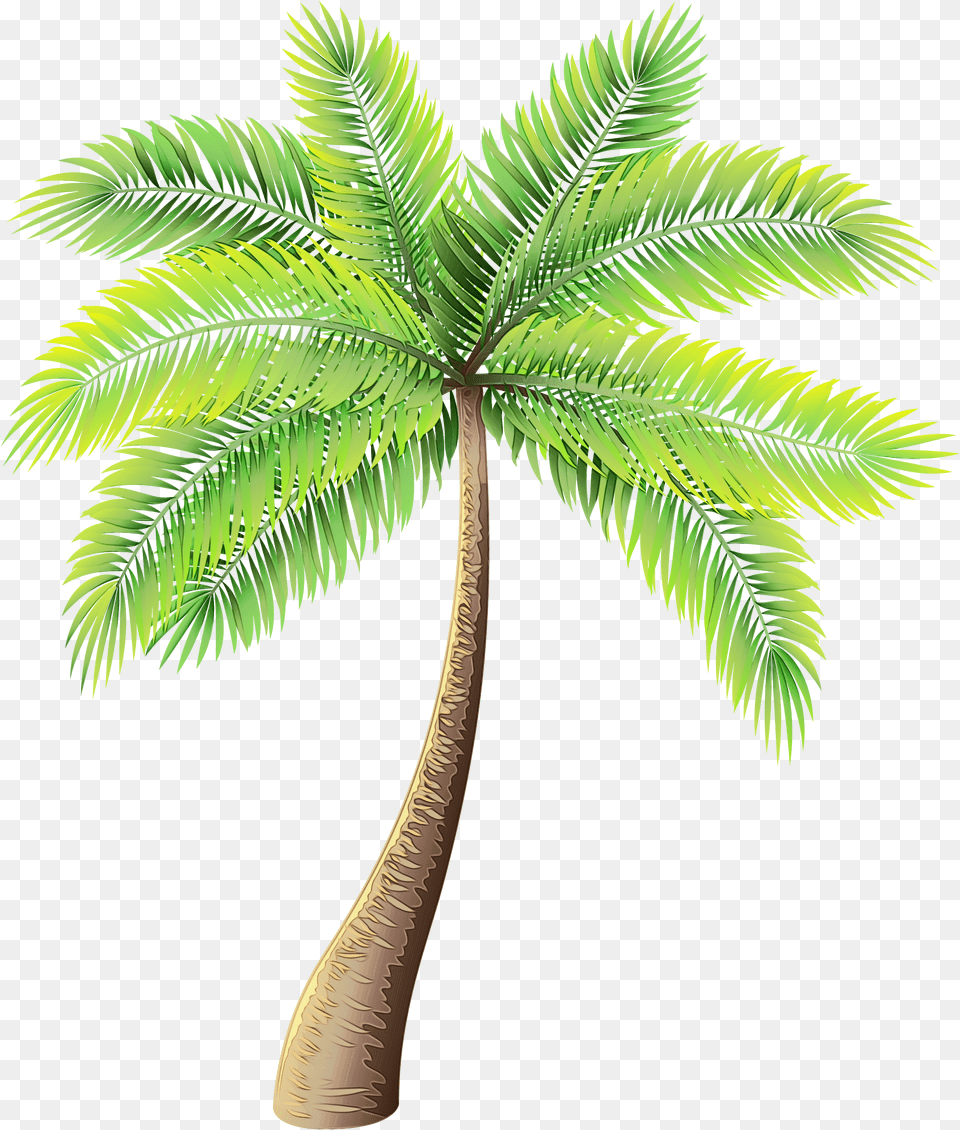 Background Palm Tree Clipart Palm Tree Free Transparent Png