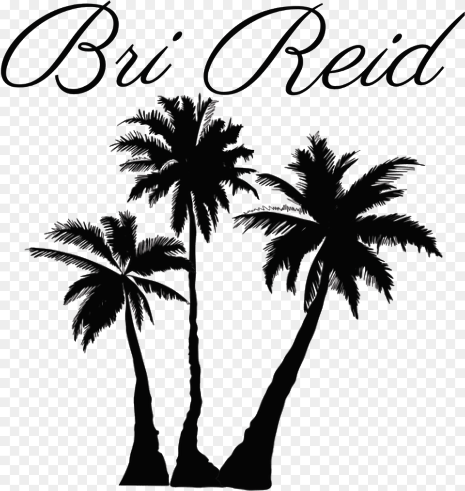 Transparent Background Palm Tree Silhouette Transparent Palm Tree Transparent Background, Palm Tree, Plant, Art Png