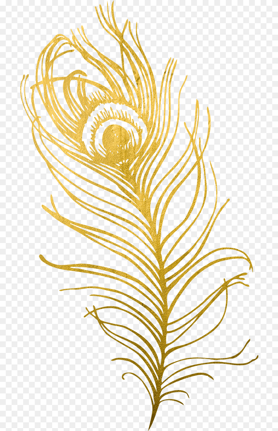Transparent Background Peacock Gold Feather, Plant, Pattern Free Png Download