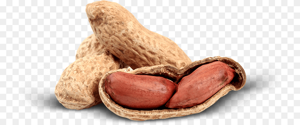 Transparent Background Peanut, Food, Nut, Plant, Produce Png Image