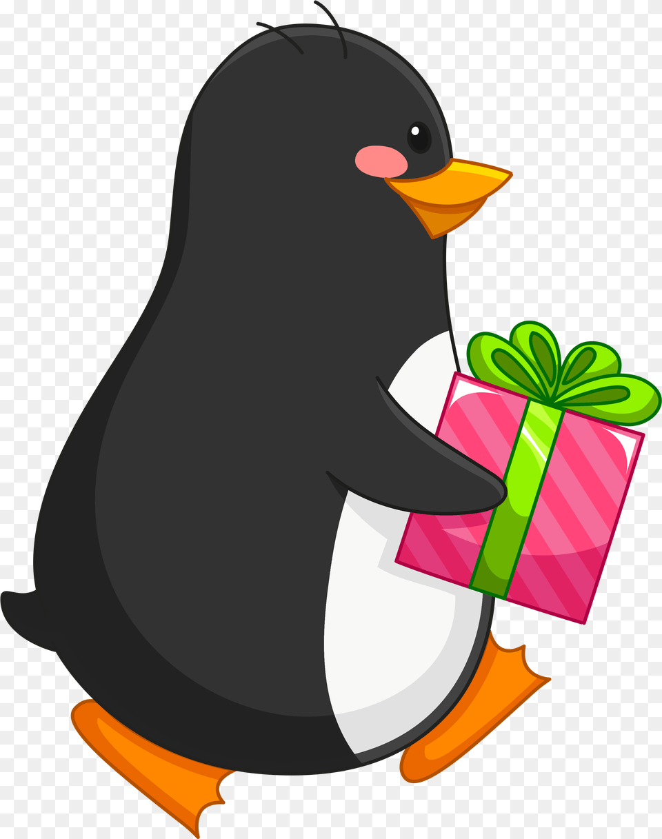 Transparent Background Penguin Penguin With Gift Clipart, Animal, Fish, Sea Life, Shark Png Image