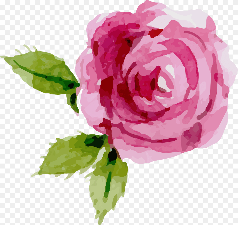 Transparent Background Pink Roses Clipart, Flower, Plant, Rose, Animal Free Png Download