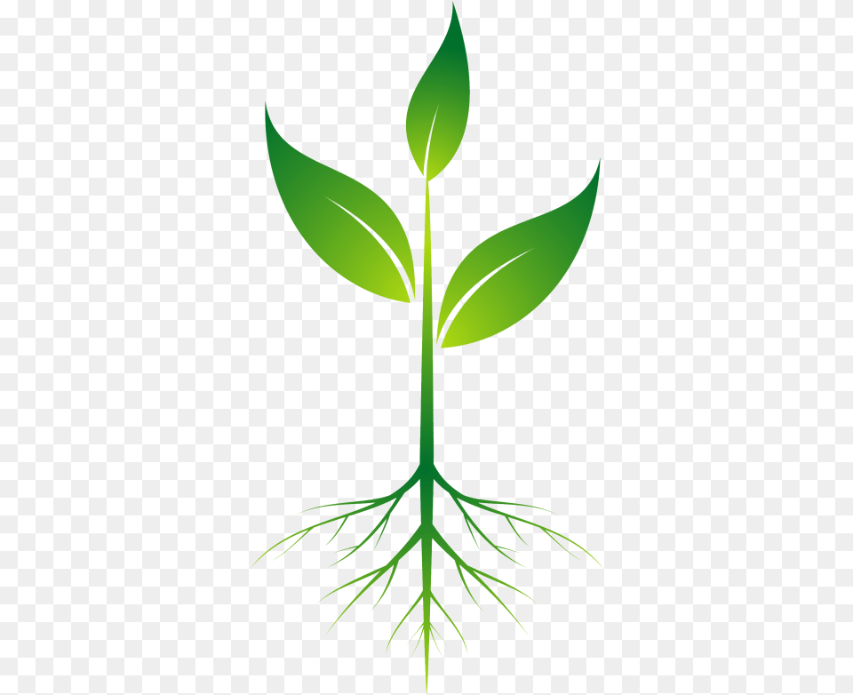 Background Plant Clipart, Grass, Leaf, Annonaceae, Tree Free Transparent Png