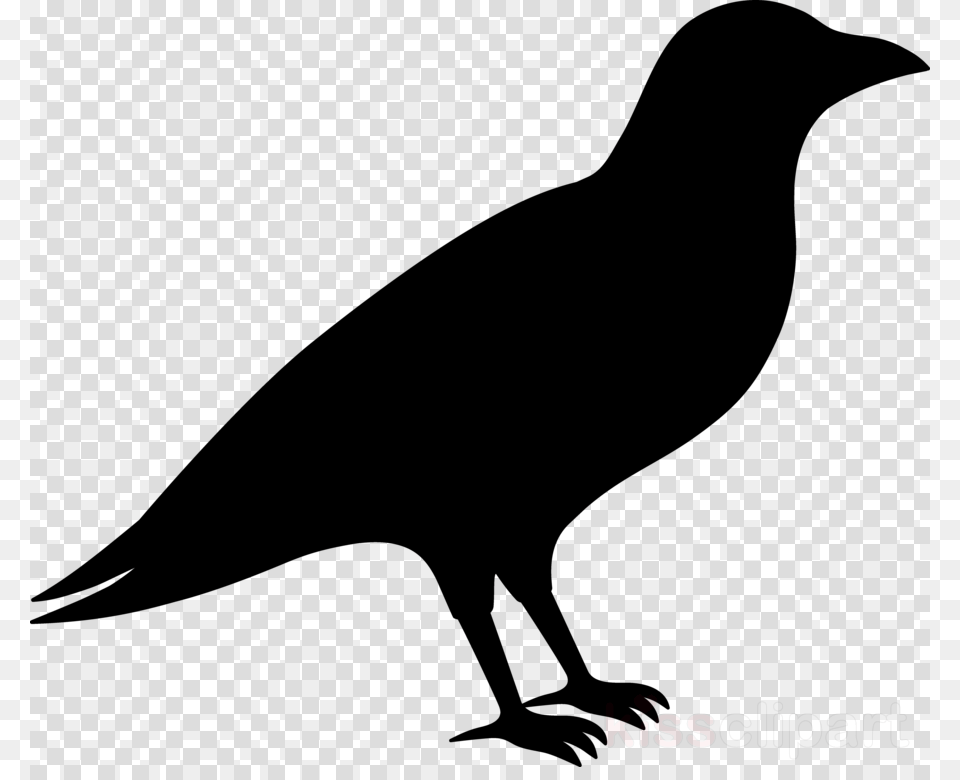 Transparent Background Price Tag, Silhouette, Animal, Bird, Blackbird Png