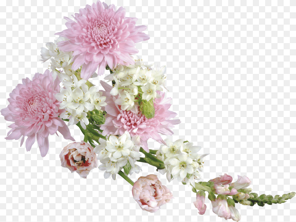 Transparent Background Real Flowers, Dahlia, Flower, Flower Arrangement, Flower Bouquet Free Png