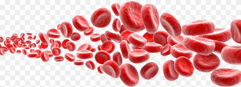 Transparent Background Red Blood Cells, Flower, Petal, Plant Png