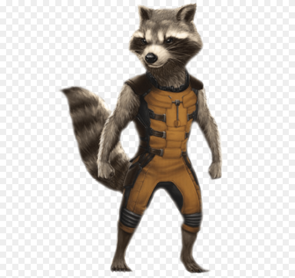 Transparent Background Rocket Guardians Of The Galaxy, Baby, Person, Animal, Mammal Free Png