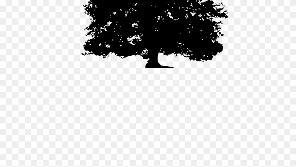Transparent Background Silhouette Oak Tree, Plant, Tree Trunk, Sycamore Free Png Download