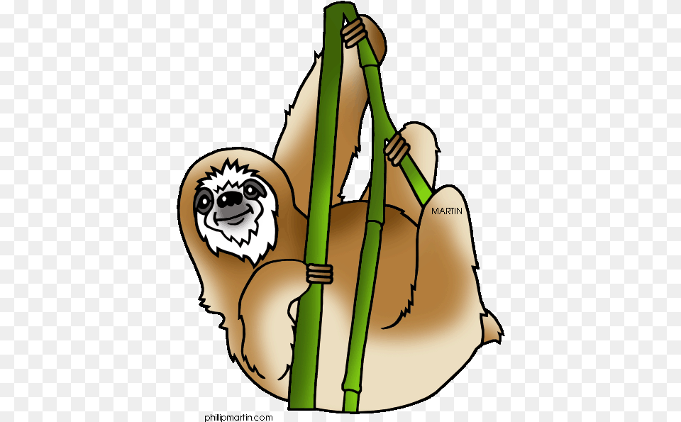 Transparent Background Sloth Clipart Transparent Background Rainforest Animals Clipart, Animal, Wildlife, Mammal, Three-toed Sloth Free Png Download