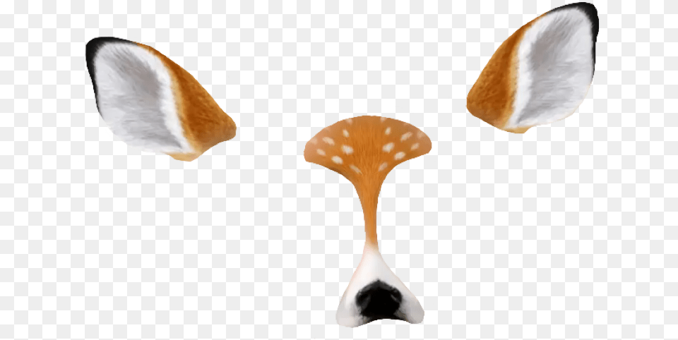Transparent Background Snapchat Filters Transparent, Fungus, Mushroom, Plant, Agaric Png Image