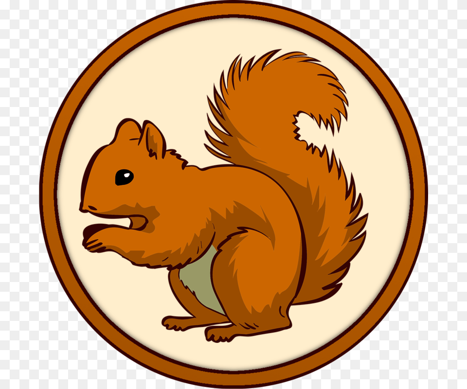 Transparent Background Squirrel Clipart, Animal, Mammal, Rodent, Pig Png