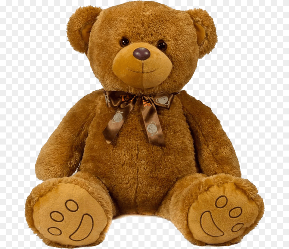 Transparent Background Teddy Bear, Teddy Bear, Toy Png