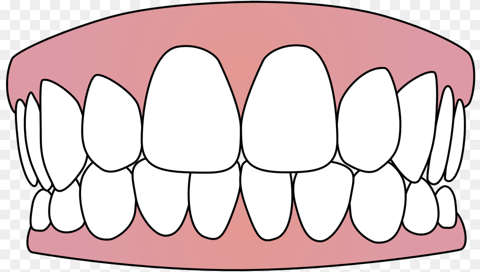 Transparent Background Teeth Clipart Teeth Clipart, Body Part, Mouth, Person, Accessories Png Image
