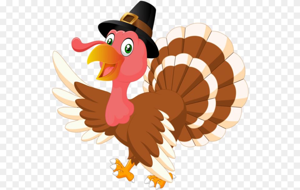 Transparent Background Thanksgiving Turkey, Animal, Bird, Baby, Person Png Image