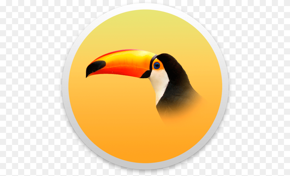 Transparent Background Toucan, Animal, Beak, Bird Free Png Download