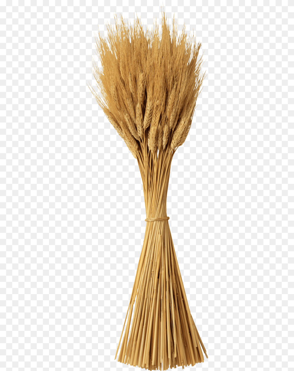 Transparent Background Transparent Wheat Clipart, Countryside, Nature, Outdoors, Straw Free Png