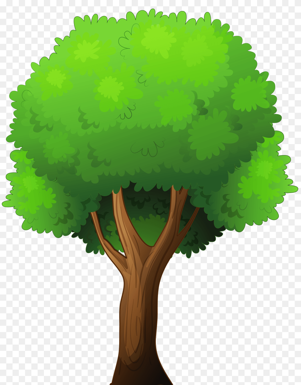 Transparent Background Tree Clipart Trees Clipart, Green, Plant, Vegetation, Tree Trunk Png Image