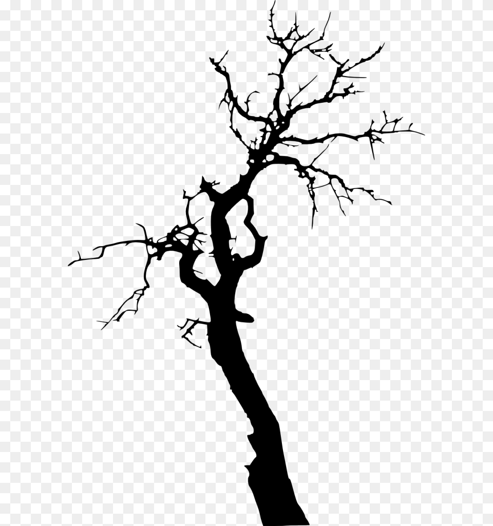 Transparent Background Tree Silhouette, Gray Free Png Download