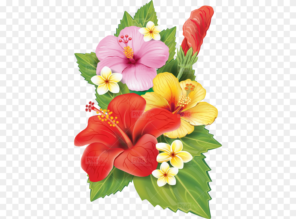 Transparent Background Tropical Flowers, Flower, Plant, Hibiscus, Flower Arrangement Png Image