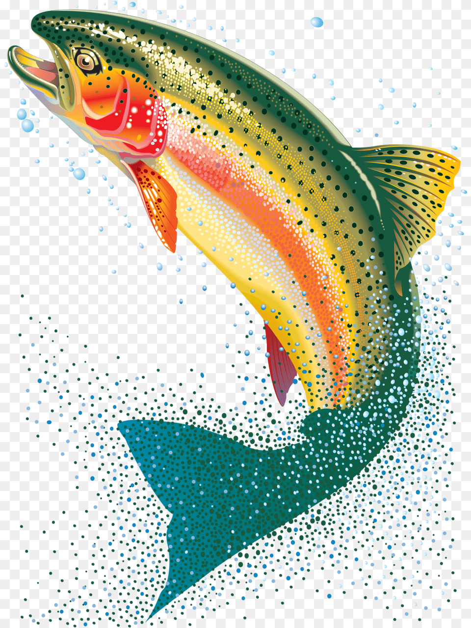 Transparent Background Trout Clipart Download Transparent Background Trout Fish, Animal, Sea Life, Shark Png Image