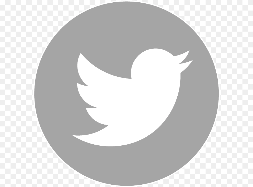 Transparent Background Twitter And Instagram Logo, Disk Free Png