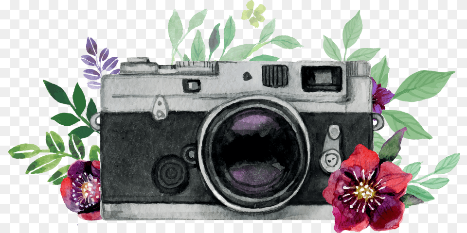 Background Vintage Camera Vector, Flower, Plant, Electronics, Digital Camera Free Transparent Png